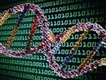 خدمات بیوانفورماتیک مرتبط با DNA